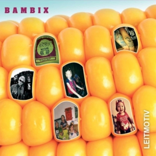 Bambix – Leitmotiv