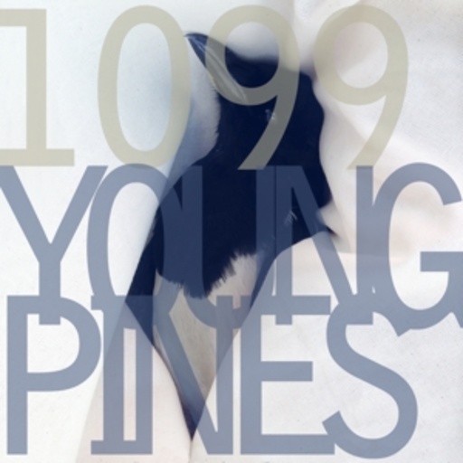1099 – Young Pines