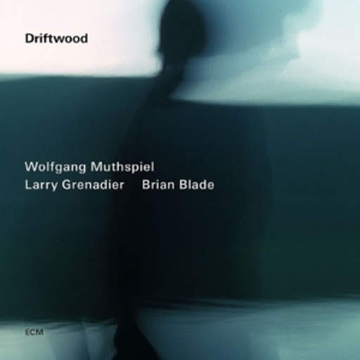 Wolfgang Muthspiel – Driftwood