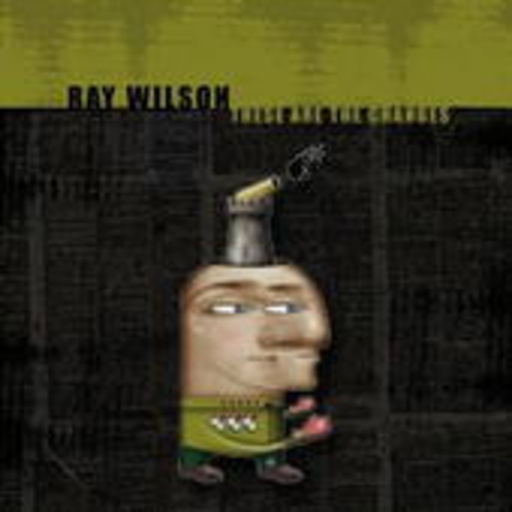 Ray Wilson – These Are The Changes