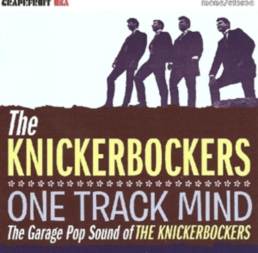 The Knickerbockers – One Track Mind - The Garage Pop Sound Of