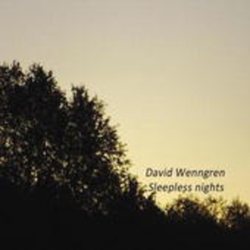 David Wenngren – Sleepless Nights