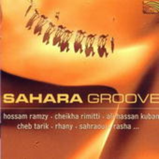 Diverse – Sahara Groove