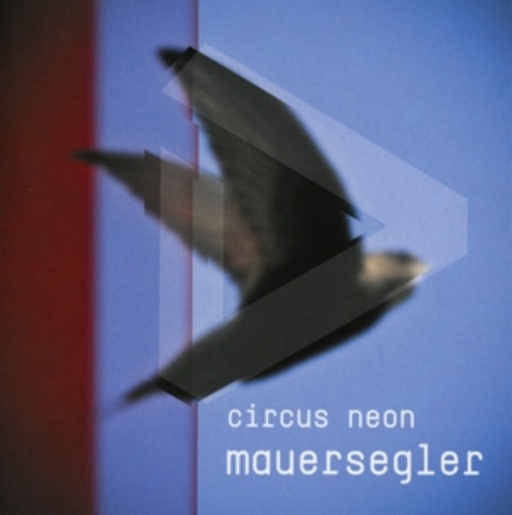 Circus Neon – Mauersegler