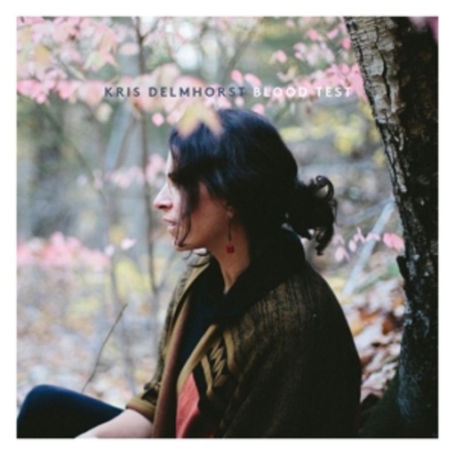 Kris Delmhorst – Blood Test