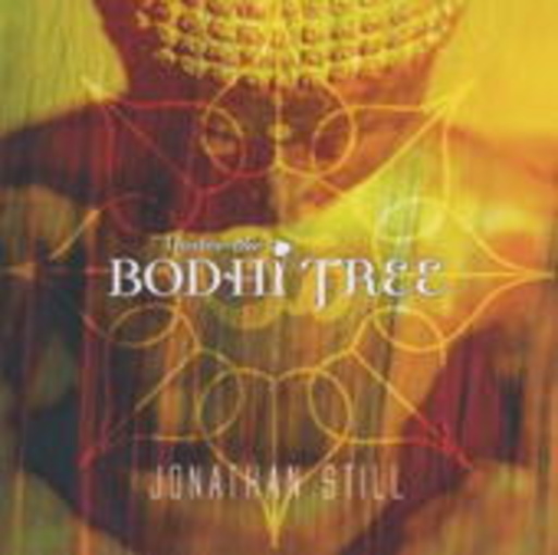 Jonathan Still – Bodhi Tree