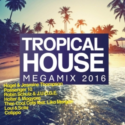 Diverse – Tropical House Megamix 2016
