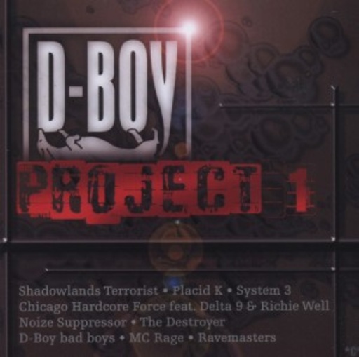 Diverse – D-Boy Project Vol. 1