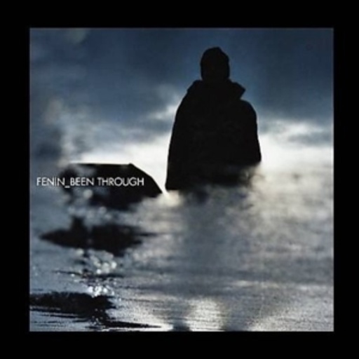 Fenin – Been Through