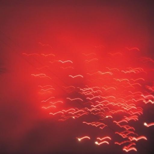 Rafael Toral – Violence Of Discovery And Calm