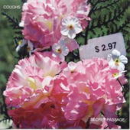Coughs – Secret Passage