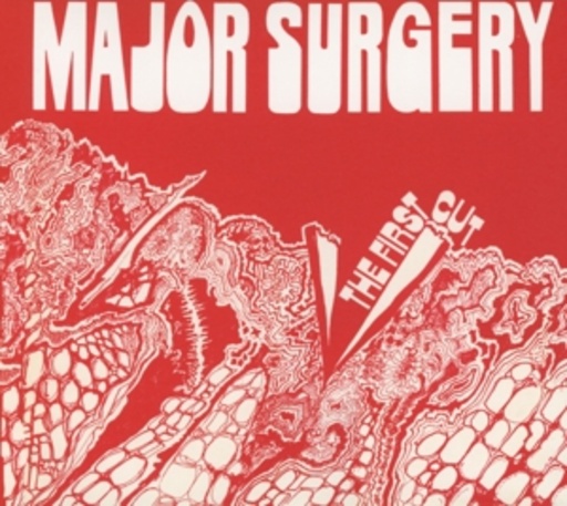 Major Surgery – The First Cut