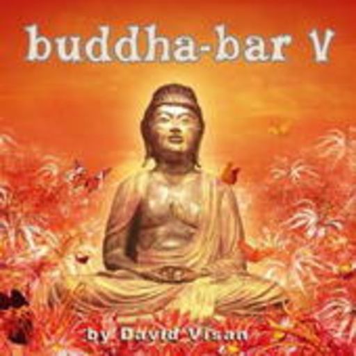 Diverse – Buddha-Bar V
