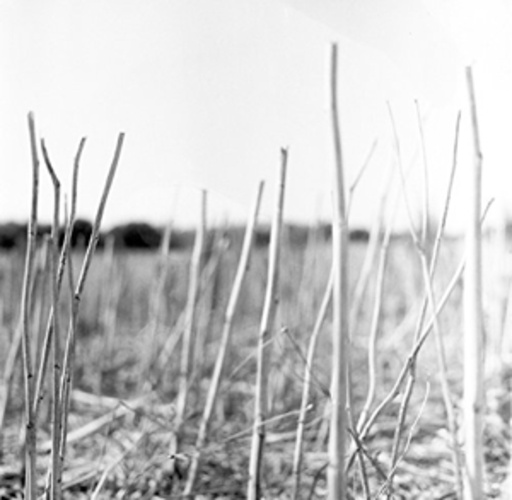 Recondite – On Acid