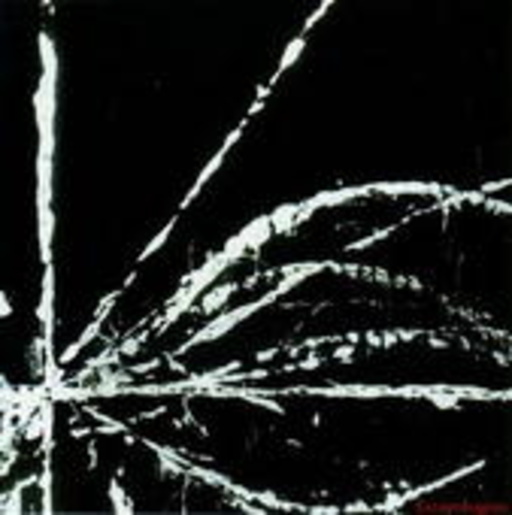 Escapologists – In Free Motion