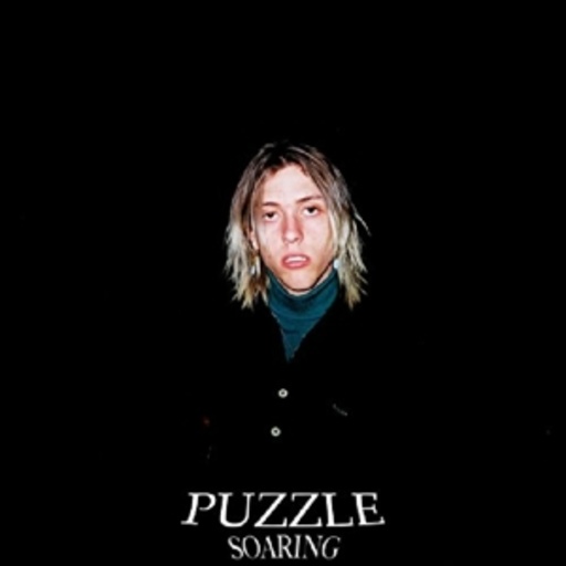 Puzzle – Soaring