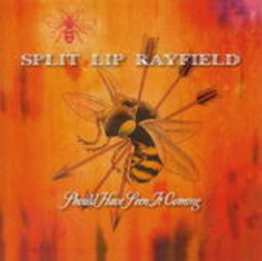 Split Lip Rayfield – Should Have Seen It Coming