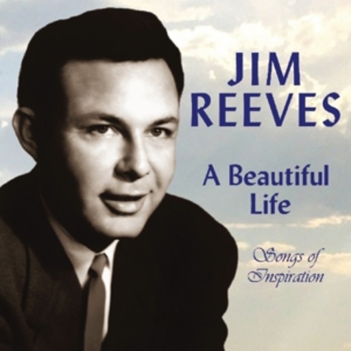 A Beautiful Life