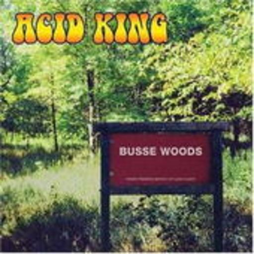 Acid King – Busse Woods