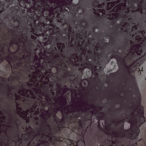 Pinkish Black – Razed To The Ground