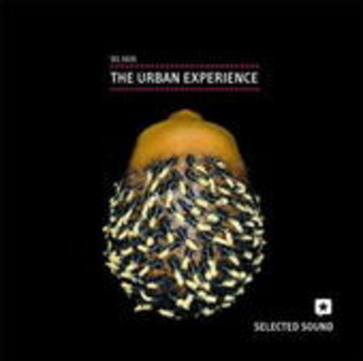 The Urban Experience