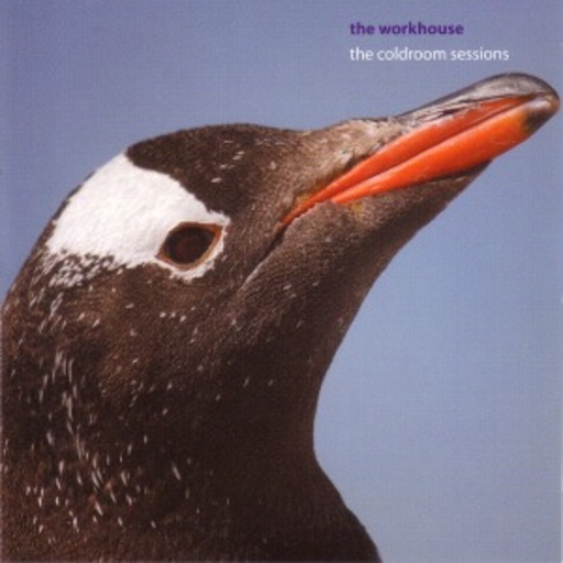 The Coldroom Sessions