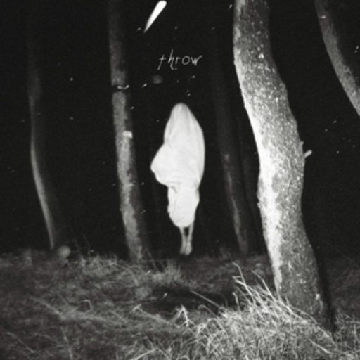 Flood Of Red – Throw