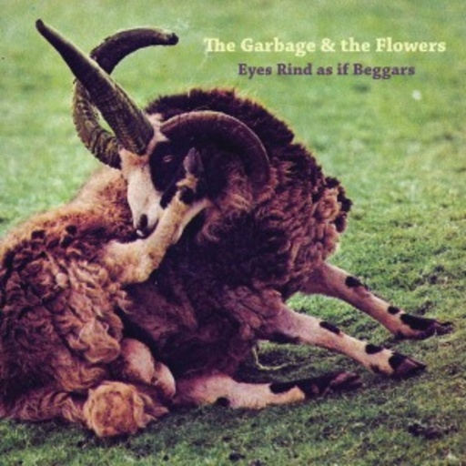 The Garbage & The Flowers – Eyes Rind As If Beggars