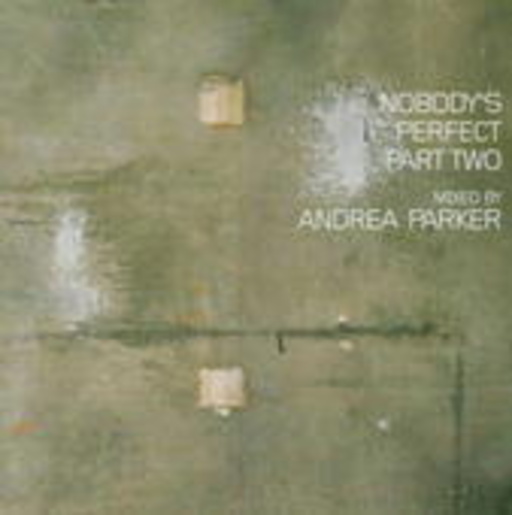 Diverse – Nobody's Perfect 2