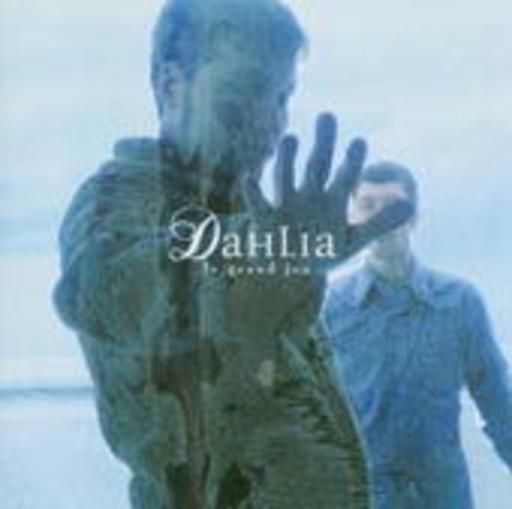 Dahlia – Le Grand Jeu