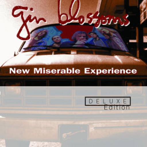 Gin Blossoms – New Miserable Experience