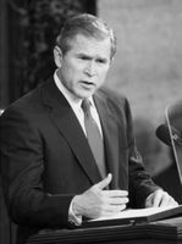 Kann jetzt einen Chefermittler ernennen: US-Präsident George W. Bush