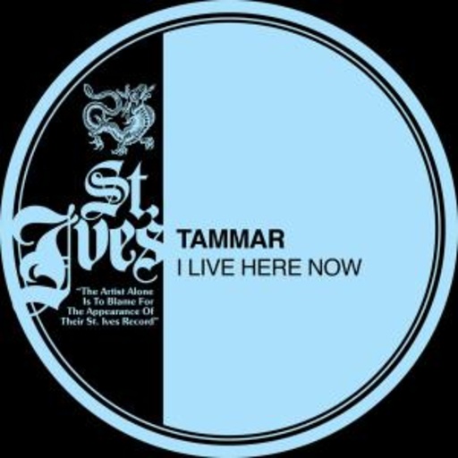 Tammar – I Live Here Now