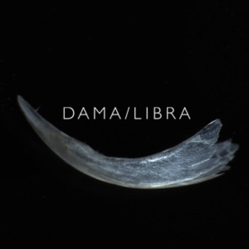 Dama/Libra – Claw