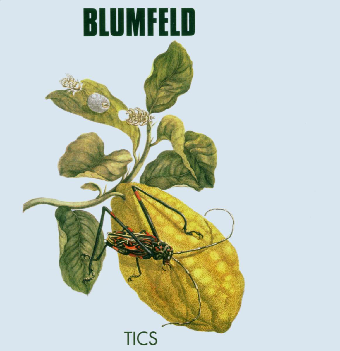 Blumfeld – Tics