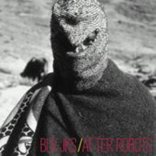 BLK JKS – After Robots