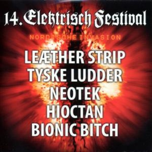 Diverse – 14. Elektrisch Festival