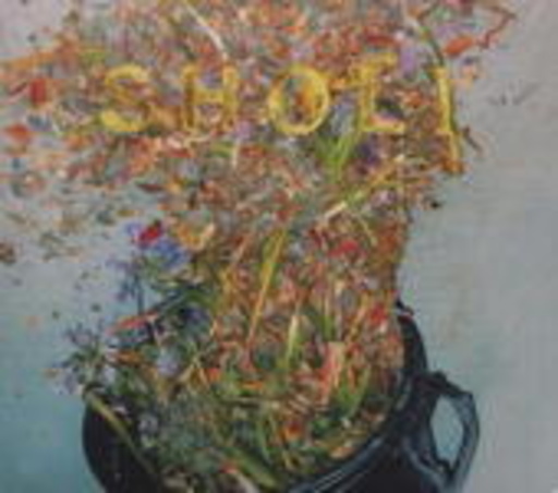 Sholi
