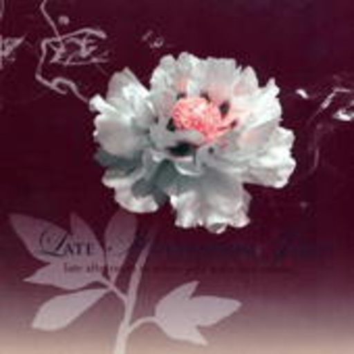 Diverse – Late Afternoon Jazz
