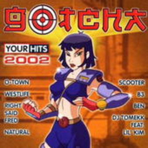 Diverse – Gotcha - Your Hits 2002