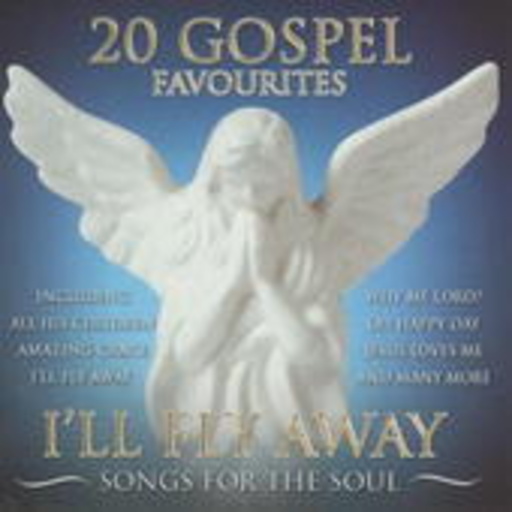 Diverse – 20 Gospel Favourites - I'll Fly Away: Songs For The Soul