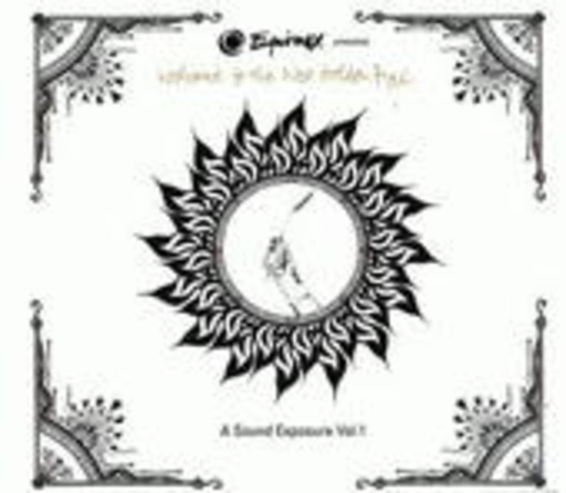Diverse/Nick Luscome Presents – Flo-Motion Vol. 2