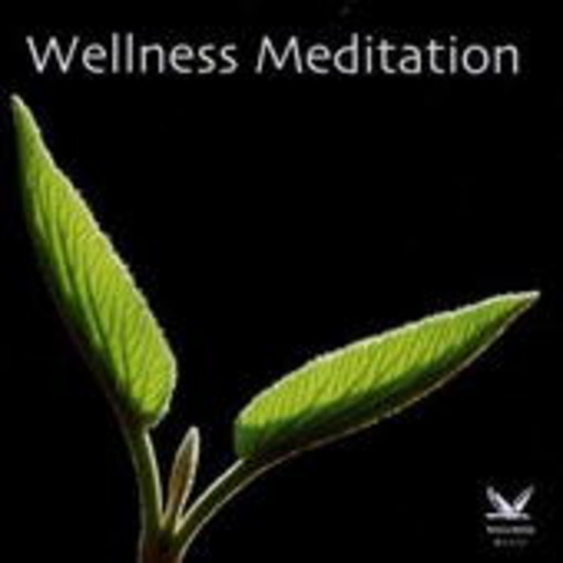 Diverse – Wellness Meditation