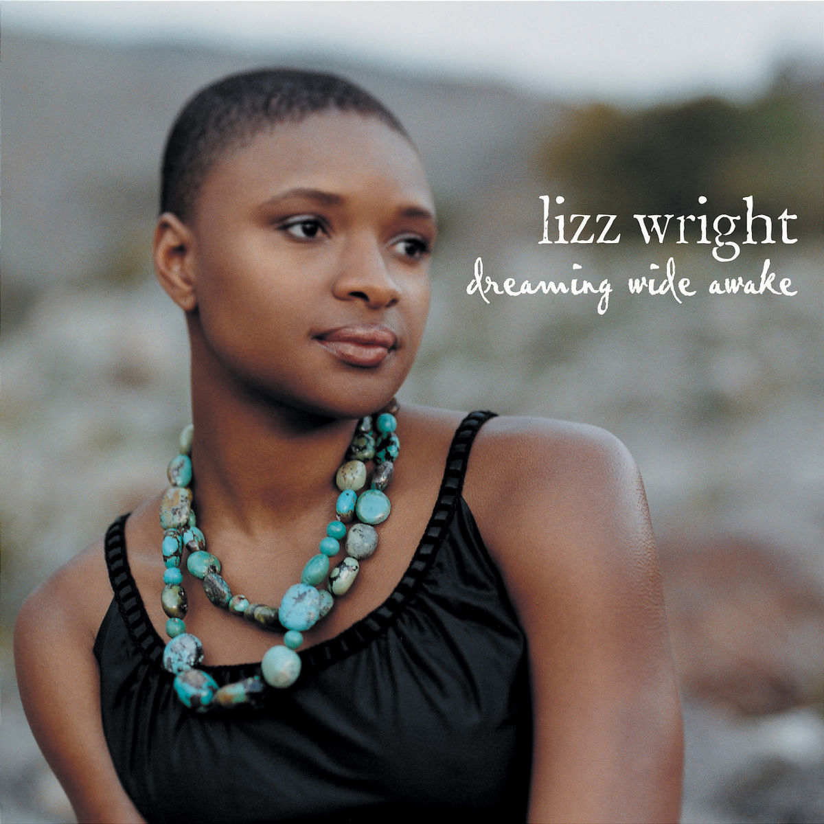 Lizz Wright – Dreaming Wide Awake
