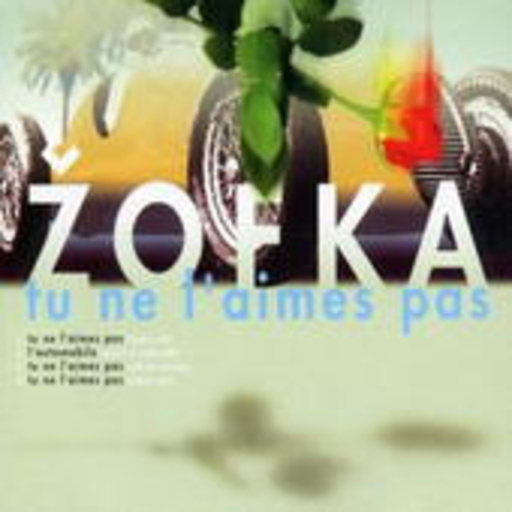 Zofka – Tu Ne L' Aimes Pas