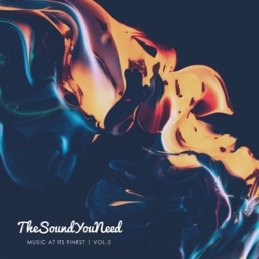 Diverse – The Sound You Need Vol. 2