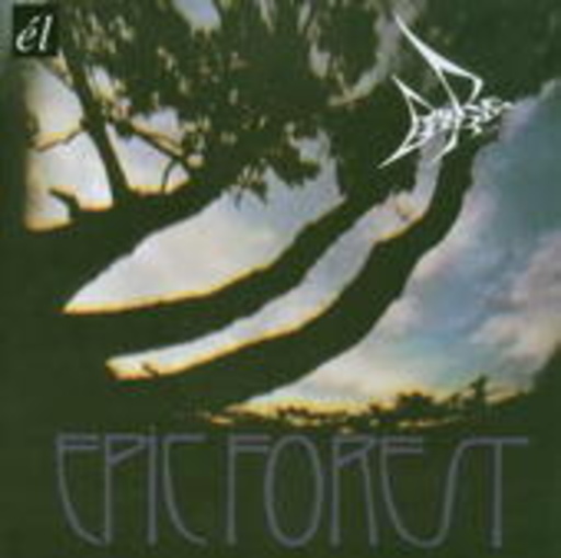 Rare Bird – Epic Forest