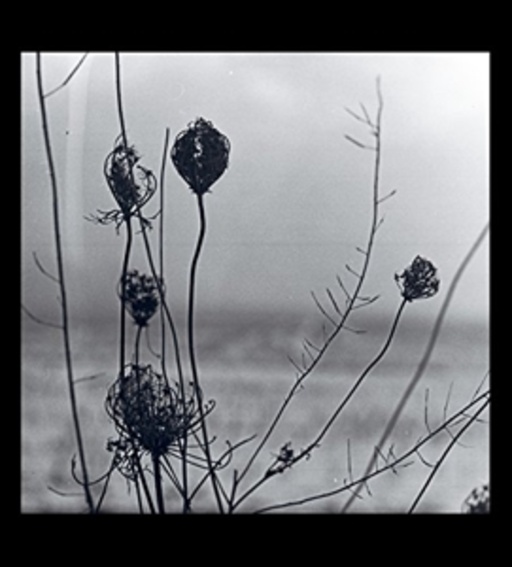 Recondite – Placid