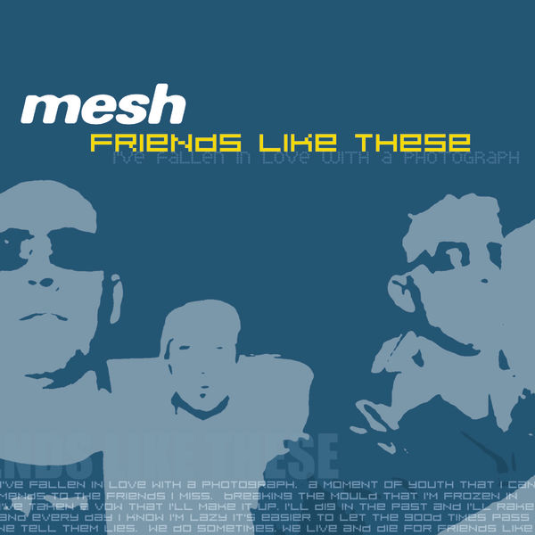 Mesh – Friends Like These