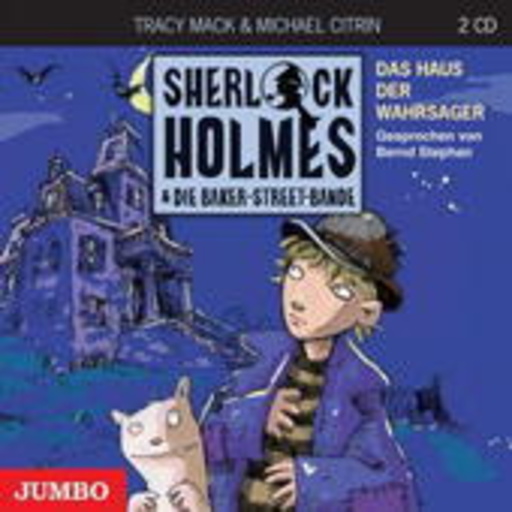 Bernd Stephan – Sherlock Holmes & Die Baker-Street-Bande: Das Haus der Wahrsager